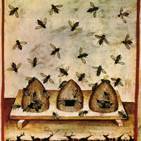 Pollinisation. N°580 Pollinisation. N°580