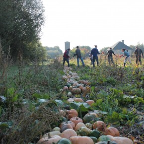 Reportage sur le travail collectif en agriculture. Reportage sur le travail collectif en agriculture.