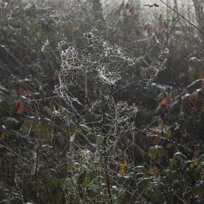 « Zad Song ». N°771 « Zad Song ». N°771