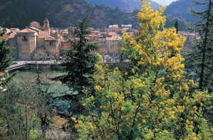 04_051_BREIL SUR ROYA_JSAR.tif