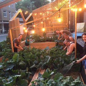 Craque-Bitume, un collectif d'écologie urbaine à Québec. Craque-Bitume, un collectif d'écologie urbaine à Québec.