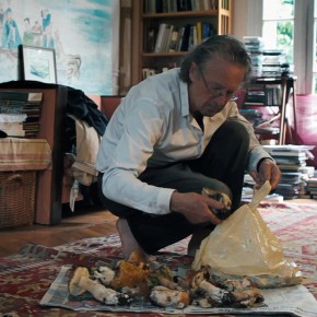 Retour aux champignons. N°813 Retour aux champignons. N°813