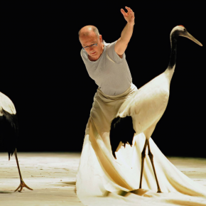 Luc Petton, chorégraphe d'oiseaux. N°816 Luc Petton, chorégraphe d'oiseaux. N°816
