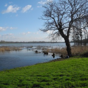 Eau et Carte des cours d’eau, la « vaste escroquerie ». N°827